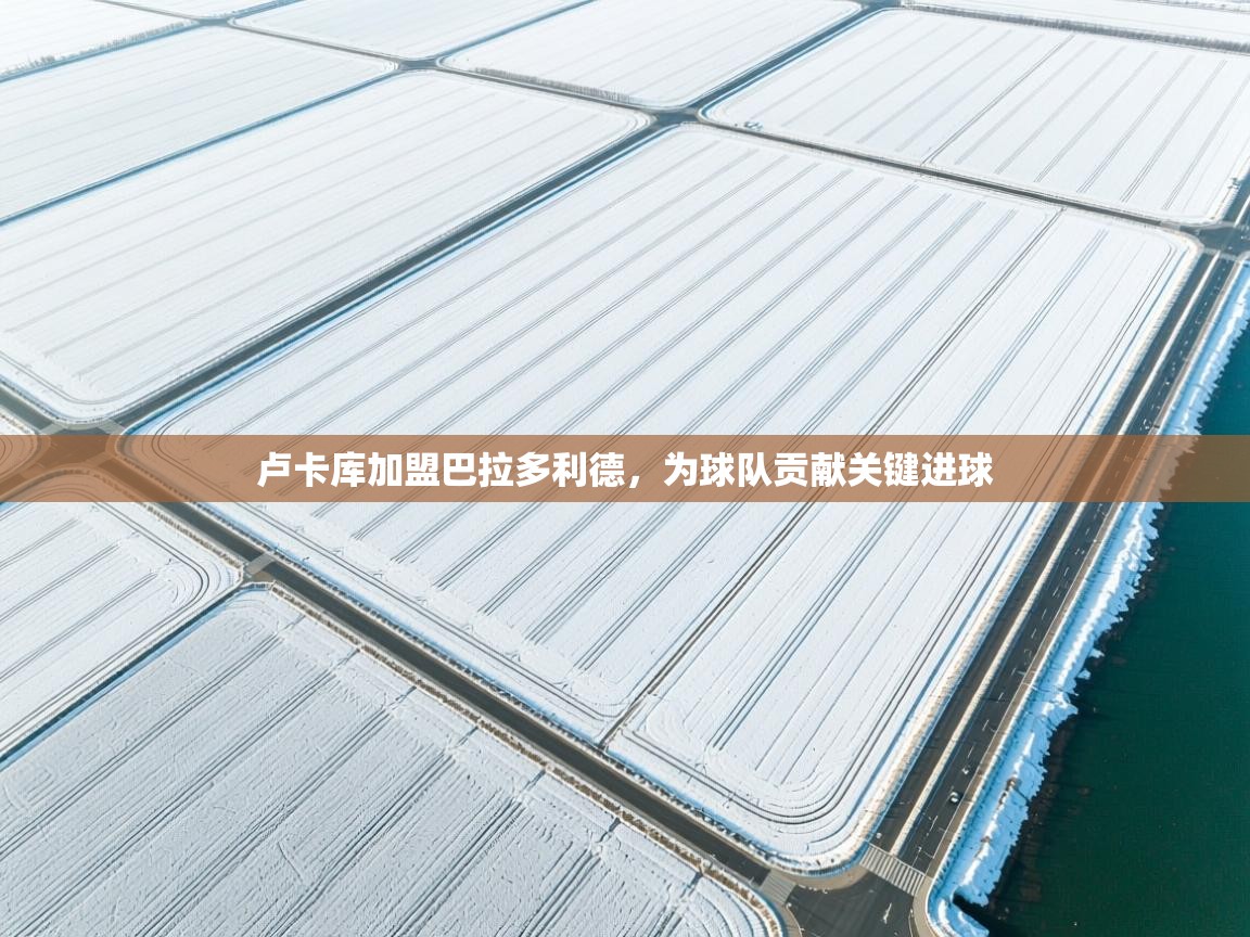 卢卡库加盟巴拉多利德，为球队贡献关键进球  第2张